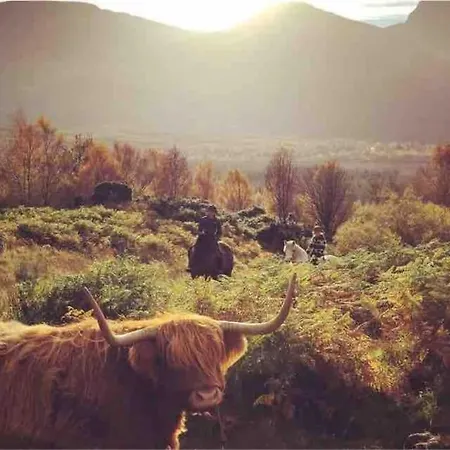Wild Nurture Eco Luxury Offgrid Log Cabin Fort William Extérieur photo